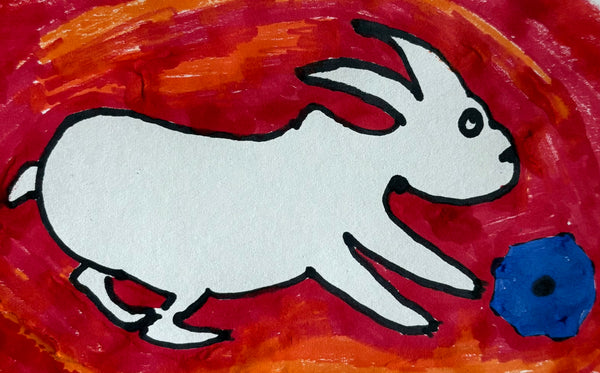 The Curious Rabbit Shop